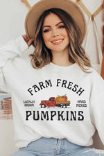 FARM FRESH PUMPKINS GRAPHIC SWEATSHIRT